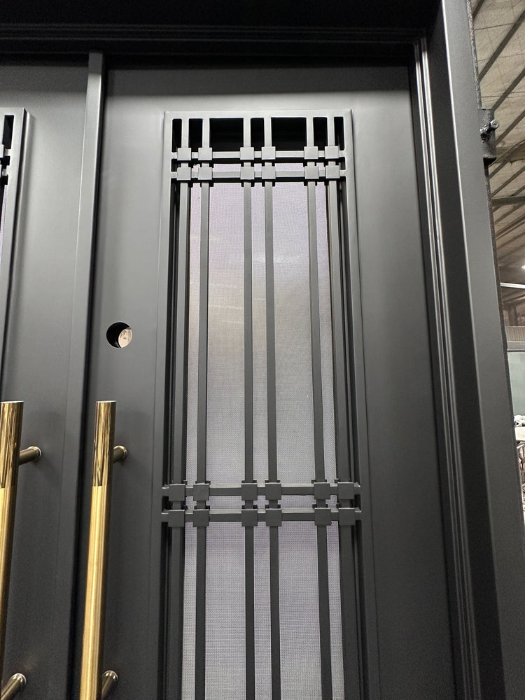 JADE- modern double front entry, wrought iron doors,removable bug screen -61x81 Right Hand - Luxe Iron Doors