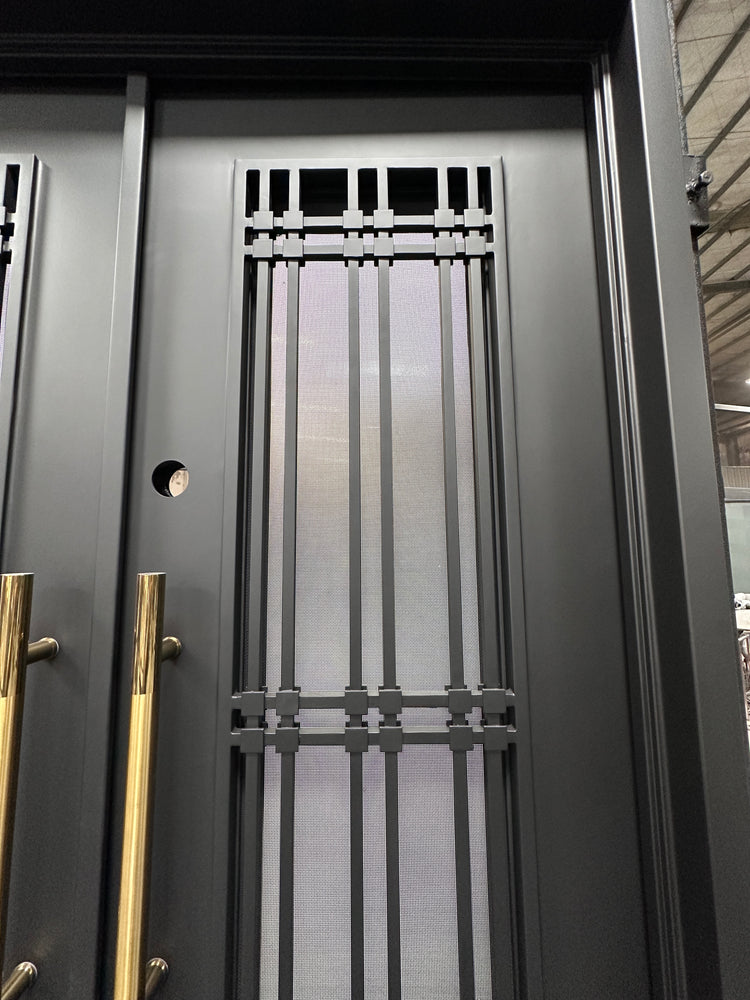 JADE- modern double front entry, wrought iron doors,removable bug screen -61x81 Right Hand - Luxe Iron Doors