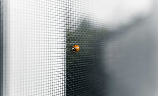 How to maintain the bug screen