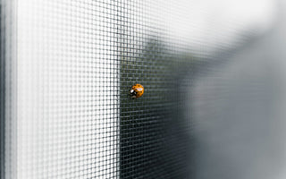 How to maintain the bug screen