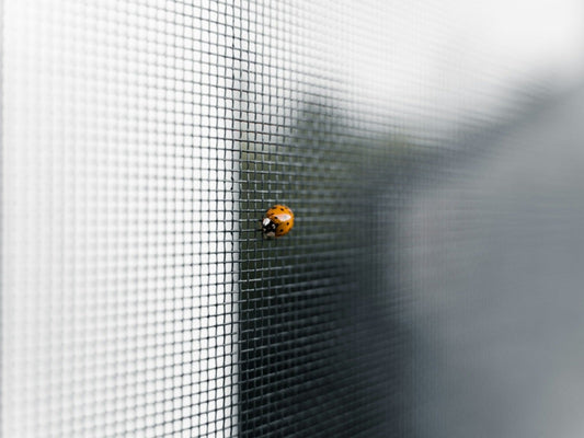 How to maintain the bug screen