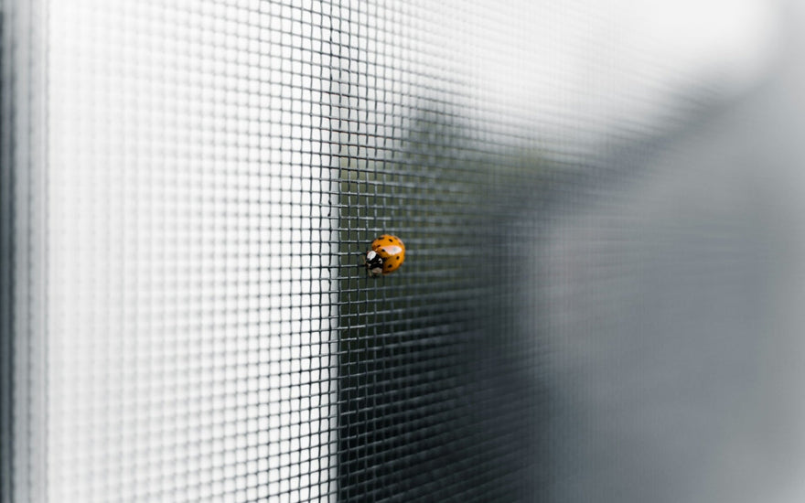 How to maintain the bug screen