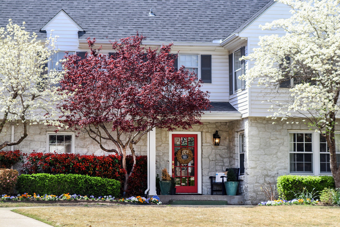 Curb Appeal: What Is It and How Can You Improve It?