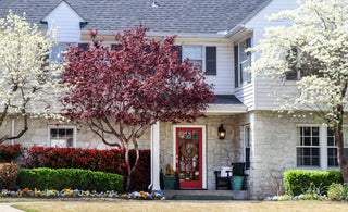 Curb Appeal: What Is It and How Can You Improve It?