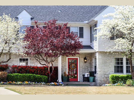 Curb Appeal: What Is It and How Can You Improve It?