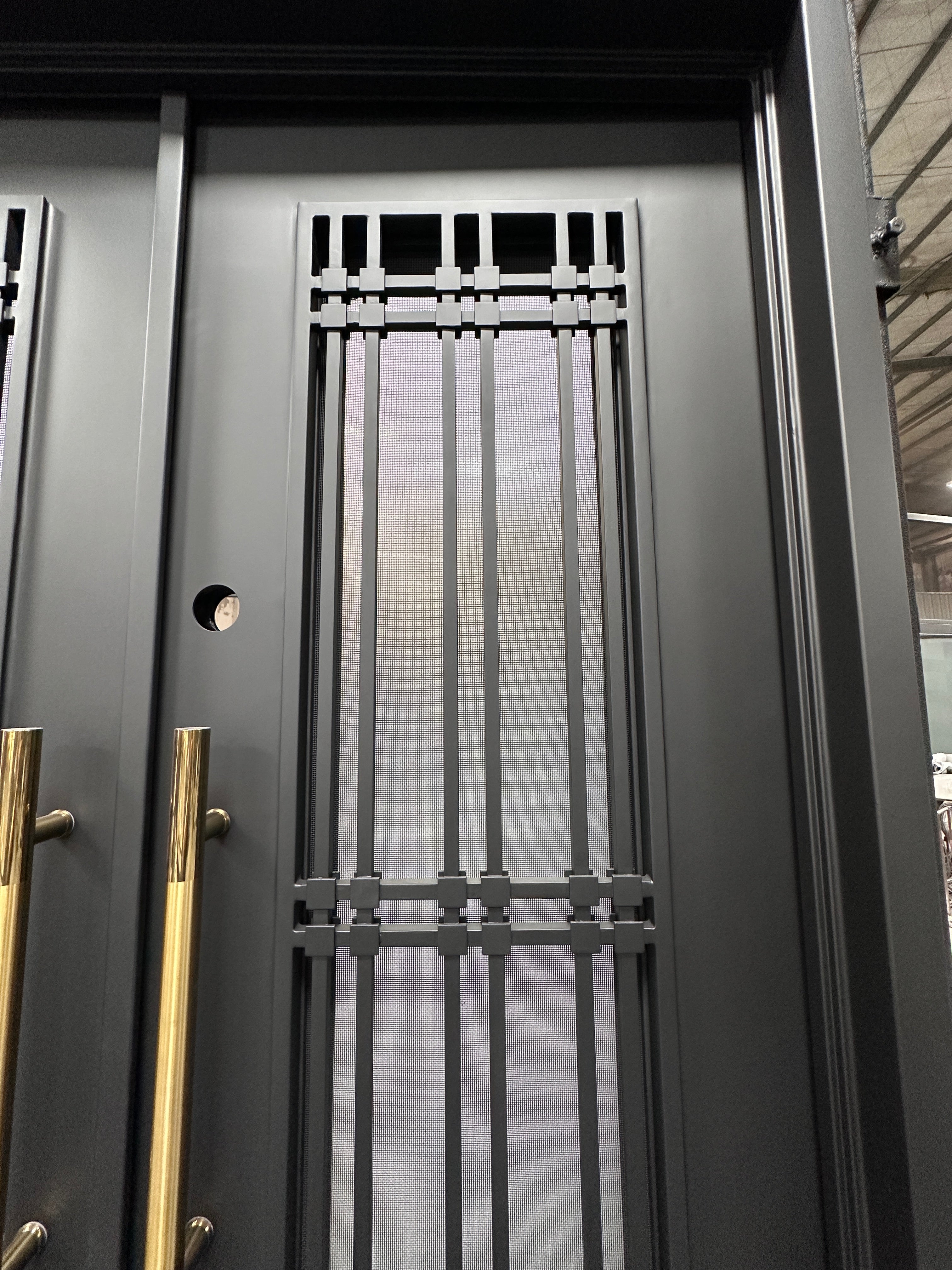 JADE- modern double front entry, wrought iron doors,removable bug screen -61x81 Right Hand - Luxe Iron Doors 