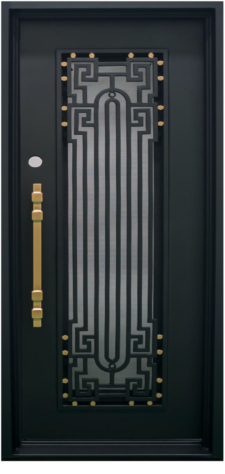 Single Modern Iron Door