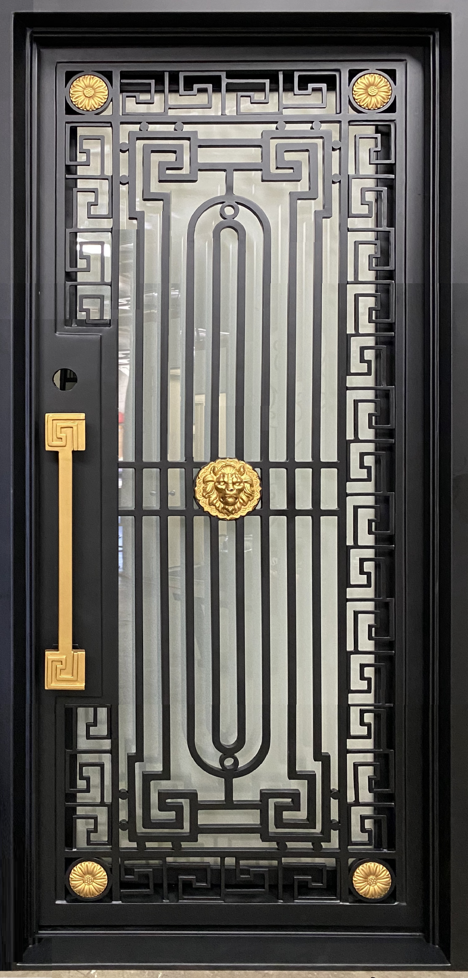 Single Modern Iron Door With Lion Medallion-LUXE