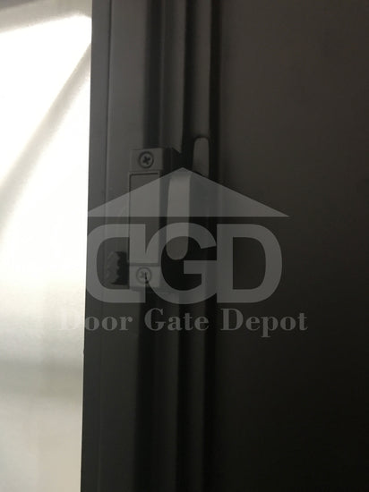 IRIS- Flat top, modern front exterior double wrought iron doors, bug screens-61X81 Right Hand - Door Gate Depot